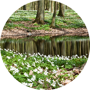 Vukomeričke gorice - Staza Šumarica